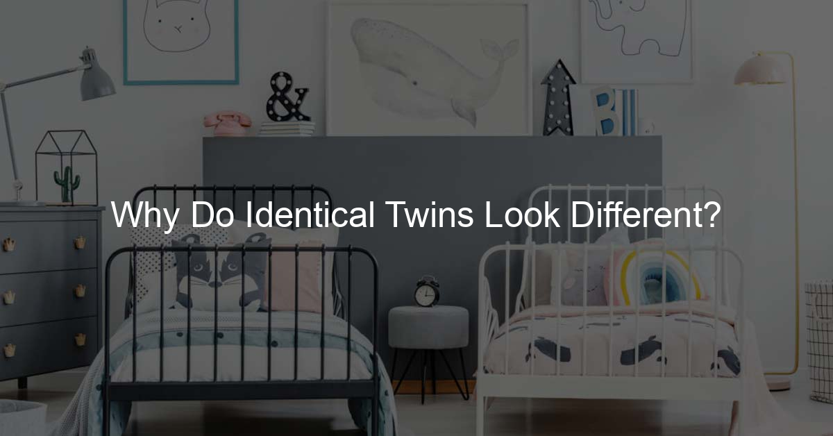 Why Do Identical Twins Look Different Double Proud